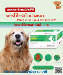 ชุดตรวจโรคลำไส้อักเสบในสุนัข พาร์โวไวรัส มาตรฐานโรงพยาบาล แม่นยำ 99.9%