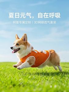 hipidog | Corgi-specific Cooling Pet Vest Summer Breathable