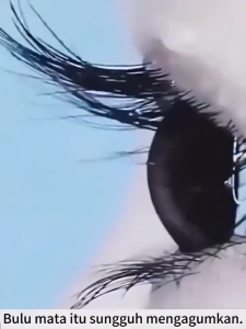 Penebal Bulu Mata Serum 7ml Penumbuh bulu mata cepat herbal serum cair eyelash serum pemanjang serum bulu mata alis dan kumis Penumbuh alis dan bulu mata serum bulu mata biar tebal dan hitam serum pertumbuhan bulu mata serum