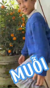 Dầu Thảo mộc Aroma  bạc hà oải hương thư giản chống nghẹt mũi đuổi muỗi 9ml