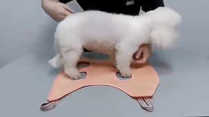 Pet Grooming Hammock Nail Trimming Restraint Bag Cat Dog Cleaning Tools Fixed Noose Shower