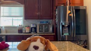 Puppy Heartbeat Stuffed Dog Toy Plush Anxiety Relief Calming Aid Comfort for Pets