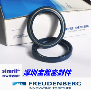 SIMRIT CFW Shaft Oil Seal German Made Mechanical Sealing Products Hardware Tools for Industrial Use