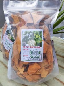Rễ cây nhàu rừng khô Tây Nguyên