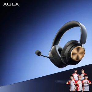 AULA | Wireless Gaming Headset with Microphone for PC