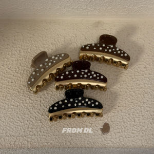 French Style Small Half-Claw Clip