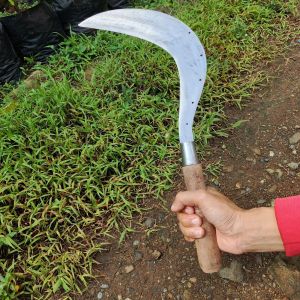 Arit Rumput Sabit Pengaritan Baja Per Asli Super Tajam