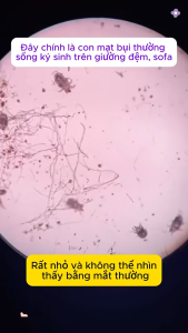 bình xịt khử khuẩn nhật cao cấp . hàng chính hãng