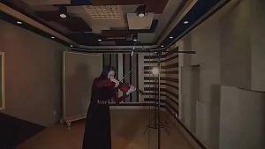 MINSINE Professional Violin Full Size All Wooden Violin Set free packaging Stickers for Beginners Students Adults Kids Practice playing a 4/4 size hardwood professional violin