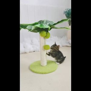 Cat Tree Design Scratching Post Sisal Cats Scratcher Pole Cute Kitten Kitty Sisal Rope Scratch with Teaser Ball