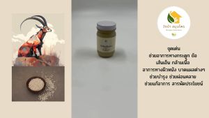 น้ำมันนวด น้ำมันเลียงผา ประสาน น้ำมันงา ขนาด 120 กรัม ซึมเร็ว (วังป่า สมูร์ไพร) ที่ผลิตโดย คุณหมอ แพทย์แผนไทย ประสบการณ์ มากกว่า 20 ปี