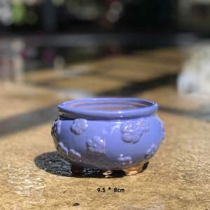 Bộ 5 chậu trồng cây sen đá/xương rồng nhập Trung miệng bèo hoa nhí