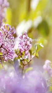 Màu Nước Gouache Hộp 5 Màu Trải Nghệm Deli - Dạng Tuýp 12ml Bột Pha Keo Sẵn Màu Đậm Đặc Mịn An Toàn Tô Vẽ Tranh-- VPP Bảo An