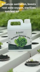 Siudyad Agrikultura High-Quality Hydrogen Peroxide 12% for Hydroponics - 25L Carboy New Oxygen Enhancer & Sanitizer for Plant Health
