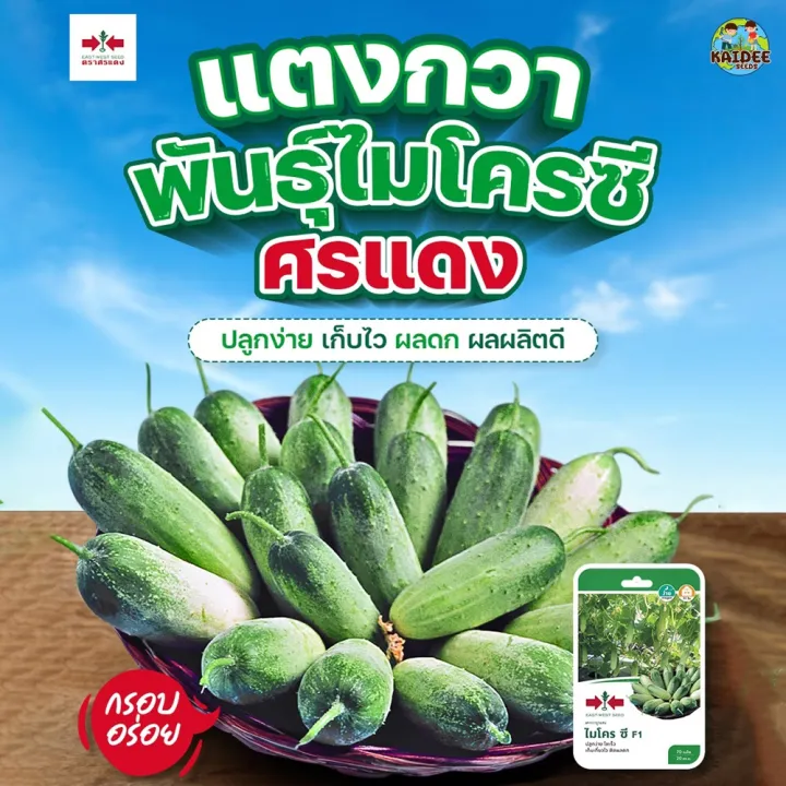 เมล็ดแตงกวาไมโครซี F1 ตราศรแดง 70 เมล็ด ผลยาว 6-8 ซม. เก็บเกี่ยว 30-32 วัน