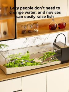 KUOTING | Ultra Clear Glass Living Room Aquarium Eco-landscaping Filter & Oxygen Generator