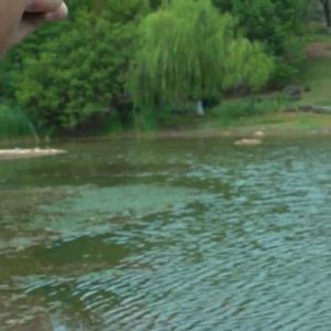 Benang Pancing Dikepang 150m & Tali Pancing PE X8