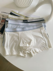 Simple Design Pure Color Modal Cotton Boxer Shorts Mens Low Waist Comfortable Underwear Flat Angle Pants Youth Style