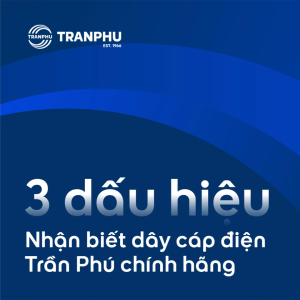 Dây Điện Đôi Dẹt Mềm 2x25 Trần Phú Trafuco Chính Hãng Dây Điện Dân Dụng Lõi Đồng Nguyên Chất Cách Điện PVC