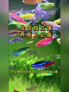 💗🙋♀️💗水族龙宫独立康观赏鱼烂尾烂鳃白点水霉鱼缸鱼池用天然中草成分