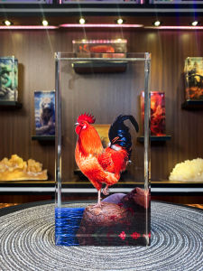 ของตกแต่งโต๊ะคริสตัลไหปลาร้าหรูหรา ของตกแต่งบ้าน ของตกแต่งห้องนั่งเล่น ของขวัญสำหรับการย้ายบ้านใหม่ ของตกแต่งสำหรับห้องนั่งเล่น