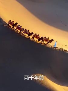 A Xinjiang Style Pure Cotton Newborn Baby Face Towel Gauze Thickened Wrinkled Bubble Gauze Printed Childrens Saliva Towel