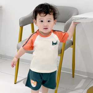 Boys Short Sleeve T-Shirt Pure Cotton Thin Summer Outdoor Suit Cartoon Kids Fashion Cool Clothing Set Baby Toddler Children Wear