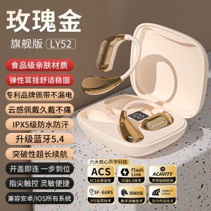 Newman LY52 Wireless Bluetooth Earphones Sports Long Battery Life Ear-Hanging Style No Noise Reduction Support App Control