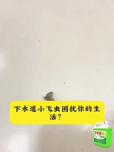JIAKEMEI | Thuốc Trừ Sâu Đôi Công Dụng cho Côn Trùng Bay và Trứng Loại Bỏ Tắc Cống Khử Mùi