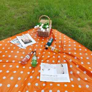 Thickened Disposable Picnic Tablecloth Outdoor Waterproof Spring Outing Tablecloth Countryside Tour Ins Style Popular Products