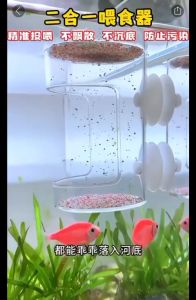 Acrylic suspension hanging fish tank feeding prevents fish feed from drifting and is suitable all small fish and use for sinking and floating fish pellet