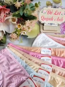 COMBO 5 VÀ 10 QUẦN LÓT NỮ (BIG SIZE) THUN LẠNH DẬP IN HỌA TIẾT DỄ THƯƠNG [70-88 Kg] MÃ :365  - Đồ Lót Quỳnh Anh