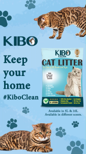 Kibo Clean Clumping and Odor Control Cat Litter Charcoal Premium Scents 1kg Cat Litter Sand