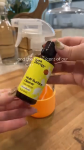 PLANT THERAPY Multi-Surface Cleaner Concentrate (2 x 30ml)