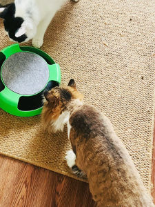 Durable Cat Toy Mouse Hunting Spinning Wheel Interactive Cat Teaser Stick Chew Resistant Keep Cats Entertained No Charging Needed