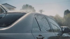 Autoglym Perfect Polish Applicator | Special Design For Maximum Coverage