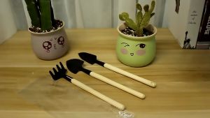 3PCS Set Mini Shovel Mini Garden Tool Set Small Plant Care Transplant Shovel Indoor Garden Equipment Home Gardening Tool