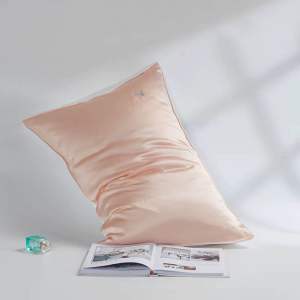 SG SIJIALI 19 Momme Mulberry Silk Pillowcase – Pure Color Embroidered AB Version Thickened Single Pillow Cover