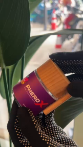 PHERO X AIR FRESHENER - HONEY MELON ( 50ML CAP KAYU CLEAR )