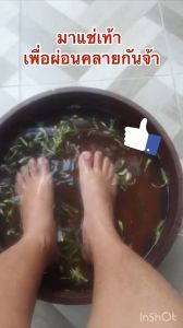 เท้า อ่างสปา มะม่วง 16นิ้ว สมุนไพร เช่นแช่มือ เท้าด้วย สีไม้สัก