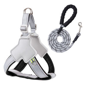 7o | No Choke Walking Dog Leash