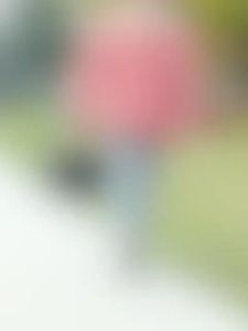 Insulated Foldable Picnic Bag | Picnic Basket Grocery Basket Camping Cooler Bag Storage Basket | Bag Berkelah