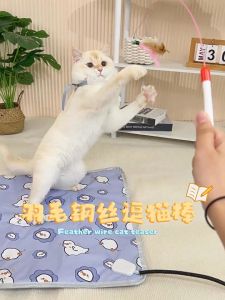 Cat Toys Pet Cat Teaser Toys Cat Teaser Stick Cat Interactive Toys Feather Stick Mouse Fish Toys
