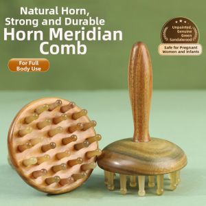 MOYIRAN | Green Sandalwood Sheep Horn Massage Comb