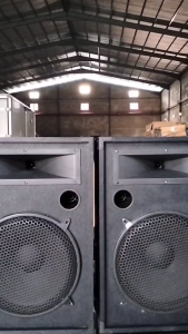 WSK F15-2way professional passive speaker is suitable for home singing birthday parties（1PCS）