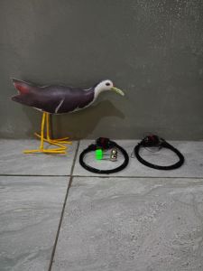 BONUS LONCENG SATU SET RUAK RUAK 4 METER + 1 KAREO