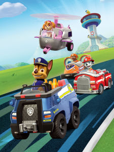 Paw Patrol | Paw Patrol Toy Set Birthday Gift