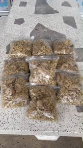 เชือกคล้องป้ายราคาสินค้า (ขายส่ง1000เส้น) วัสดุเป็นเชือกปอ เชือกป่านแบบมีตัวล็อกพลาสติก ใช้สำหรับคล้องป้ายแท็กสินค้า