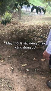 Máy thổi lá cây máy thổi bụi đa năng chạy xăng 2 thì BLOWER VAC - EB260