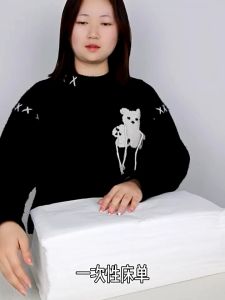 100pcs Bed Sheet Disposable Sheet Cover Per Massagesalons Atmungsaktive Hygiene Disposible Bed Sheet Weich Und Bequem Disposable Bed